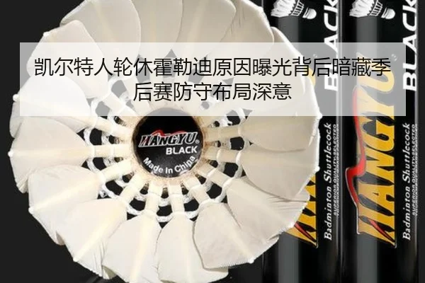 凯尔特人轮休霍勒迪原因曝光背后暗藏季后赛防守布局深意